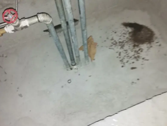 隰县卫生间测漏水价格明细