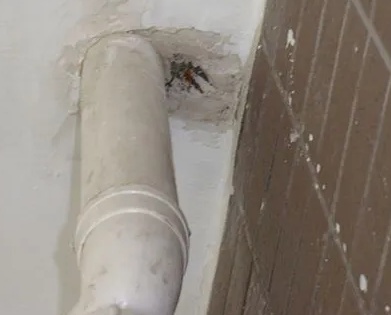 隰县漏水检测哪家好